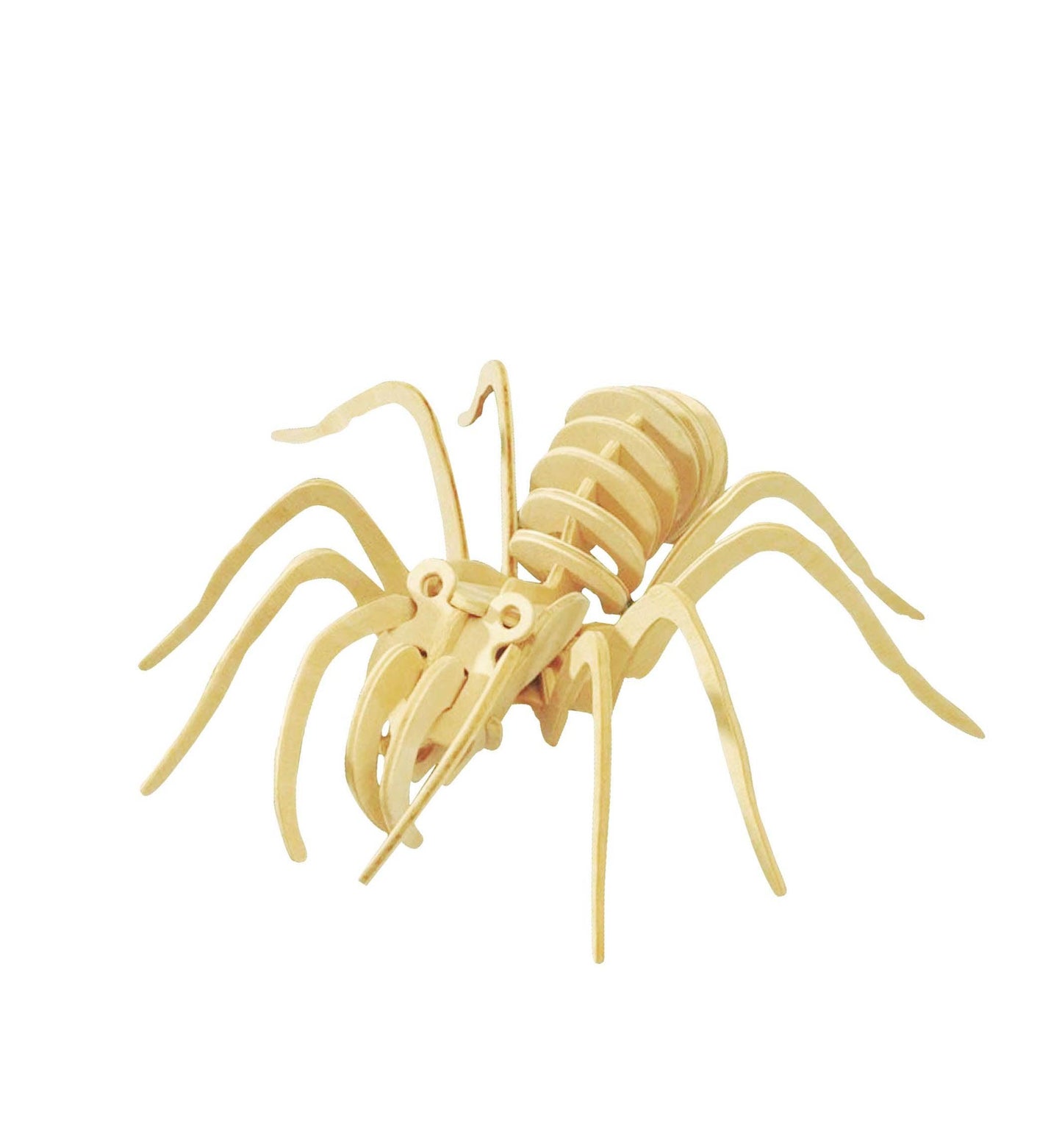 3D Classic Wooden Puzzle | Spider - Hands Craft US, Inc.