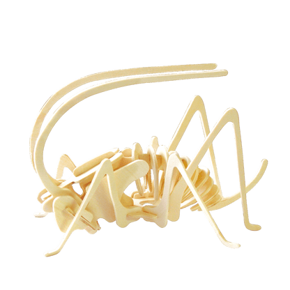 3D Classic Wooden Puzzle Bundle | Insects and Arachnids - Hands Craft US, Inc.